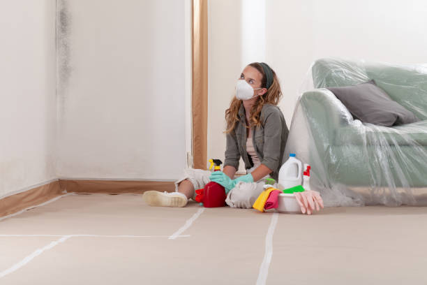 Reliable Black Mold Removal contractor in Danville, IL by WQB Mold Removal
